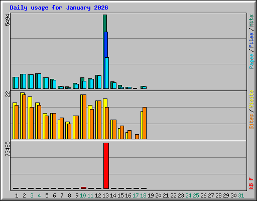 Daily usage for January 2026