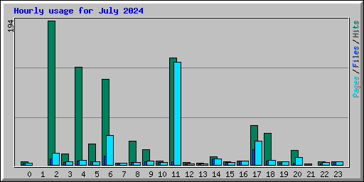 Hourly usage for July 2024