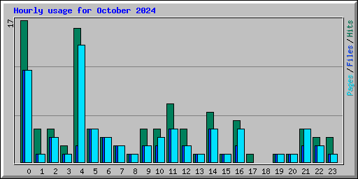 Hourly usage for October 2024