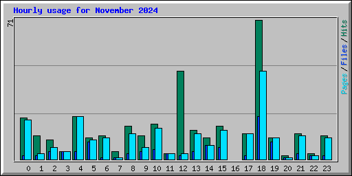 Hourly usage for November 2024