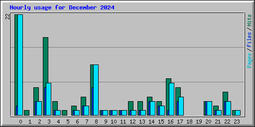 Hourly usage for December 2024