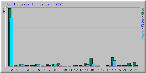 Hourly usage for January 2025