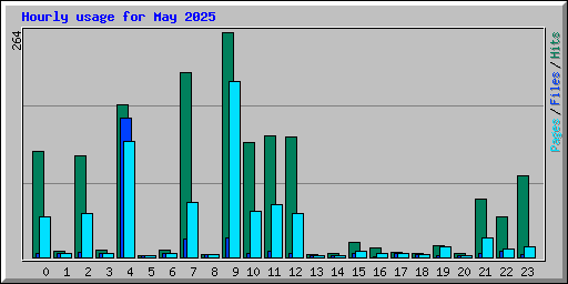 Hourly usage for May 2025