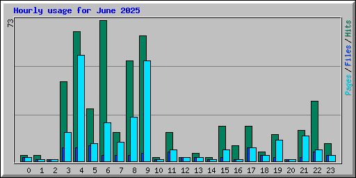Hourly usage for June 2025