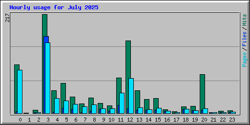 Hourly usage for July 2025