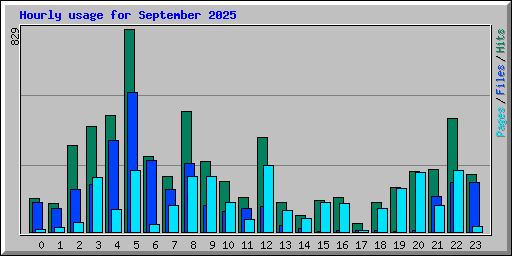 Hourly usage for September 2025