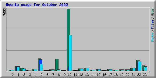 Hourly usage for October 2025