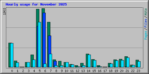 Hourly usage for November 2025