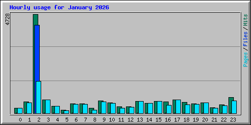 Hourly usage for January 2026