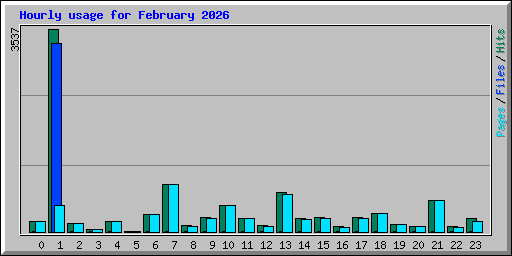 Hourly usage for February 2026