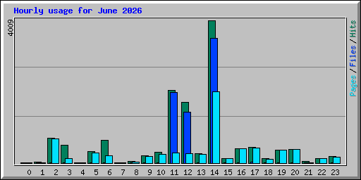 Hourly usage for June 2026