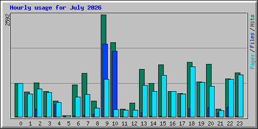 Hourly usage for July 2026