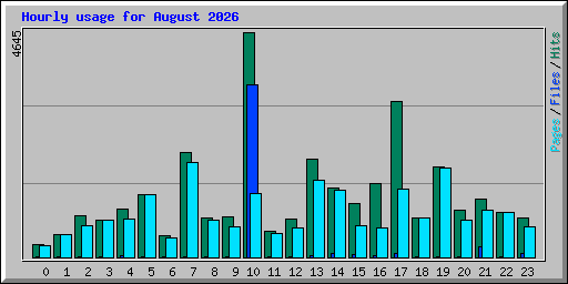 Hourly usage for August 2026