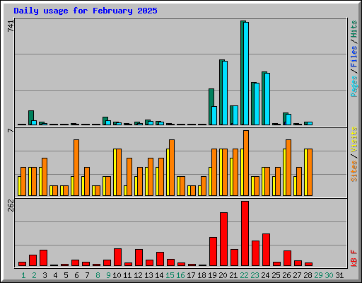 Daily usage for February 2025