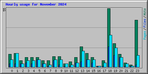 Hourly usage for November 2024