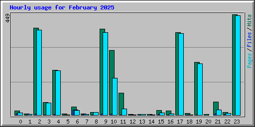 Hourly usage for February 2025