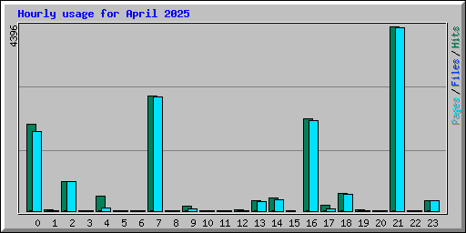 Hourly usage for April 2025