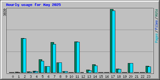 Hourly usage for May 2025