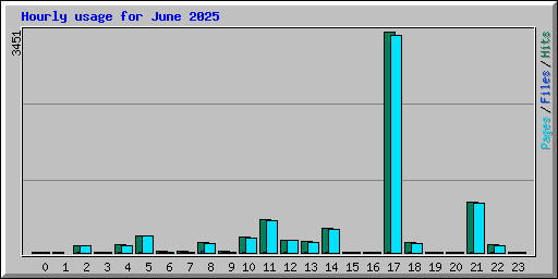 Hourly usage for June 2025