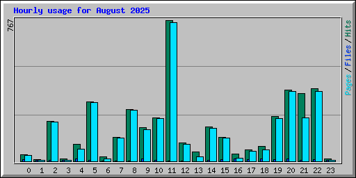 Hourly usage for August 2025