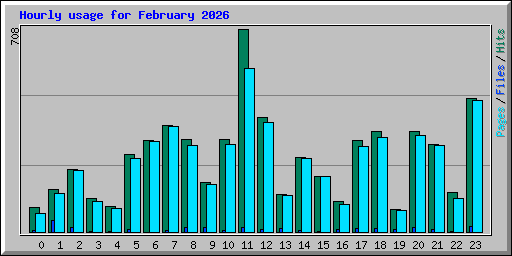 Hourly usage for February 2026