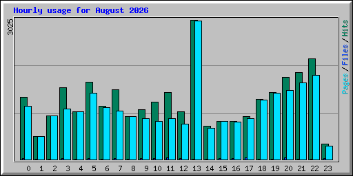 Hourly usage for August 2026