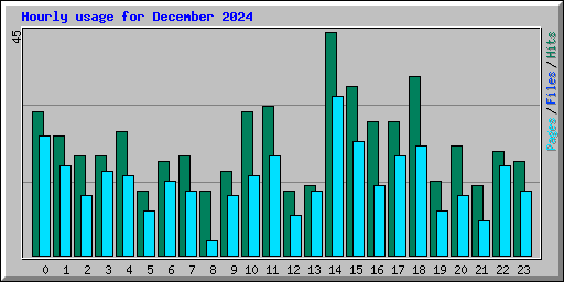 Hourly usage for December 2024