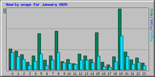 Hourly usage for January 2025