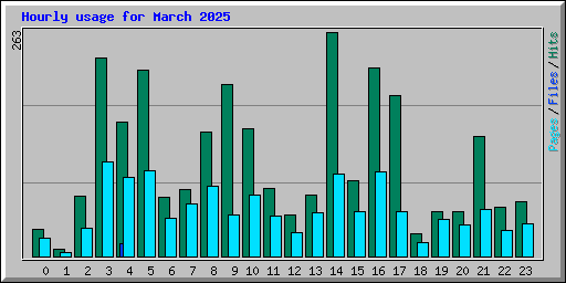 Hourly usage for March 2025