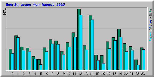 Hourly usage for August 2025