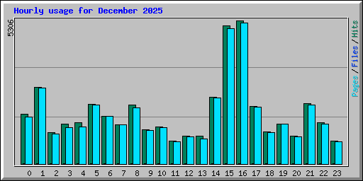 Hourly usage for December 2025