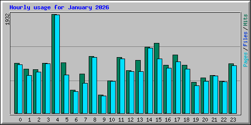 Hourly usage for January 2026