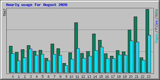 Hourly usage for August 2026
